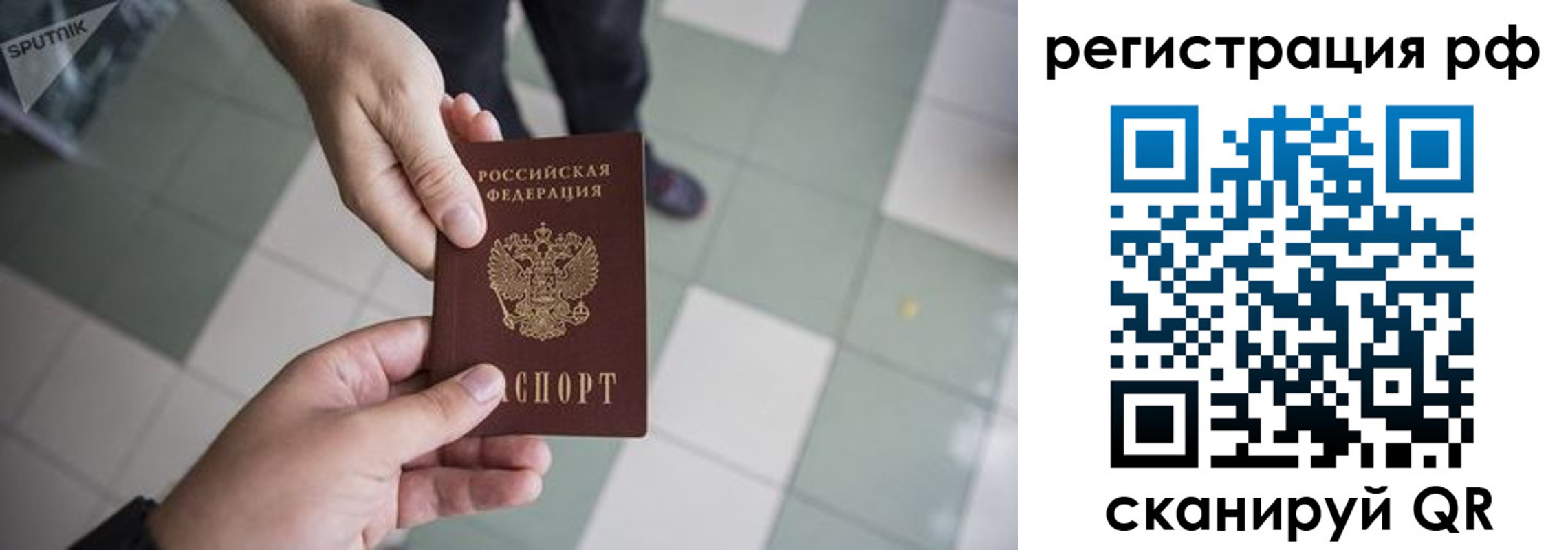 прописка гарантия в Калуге